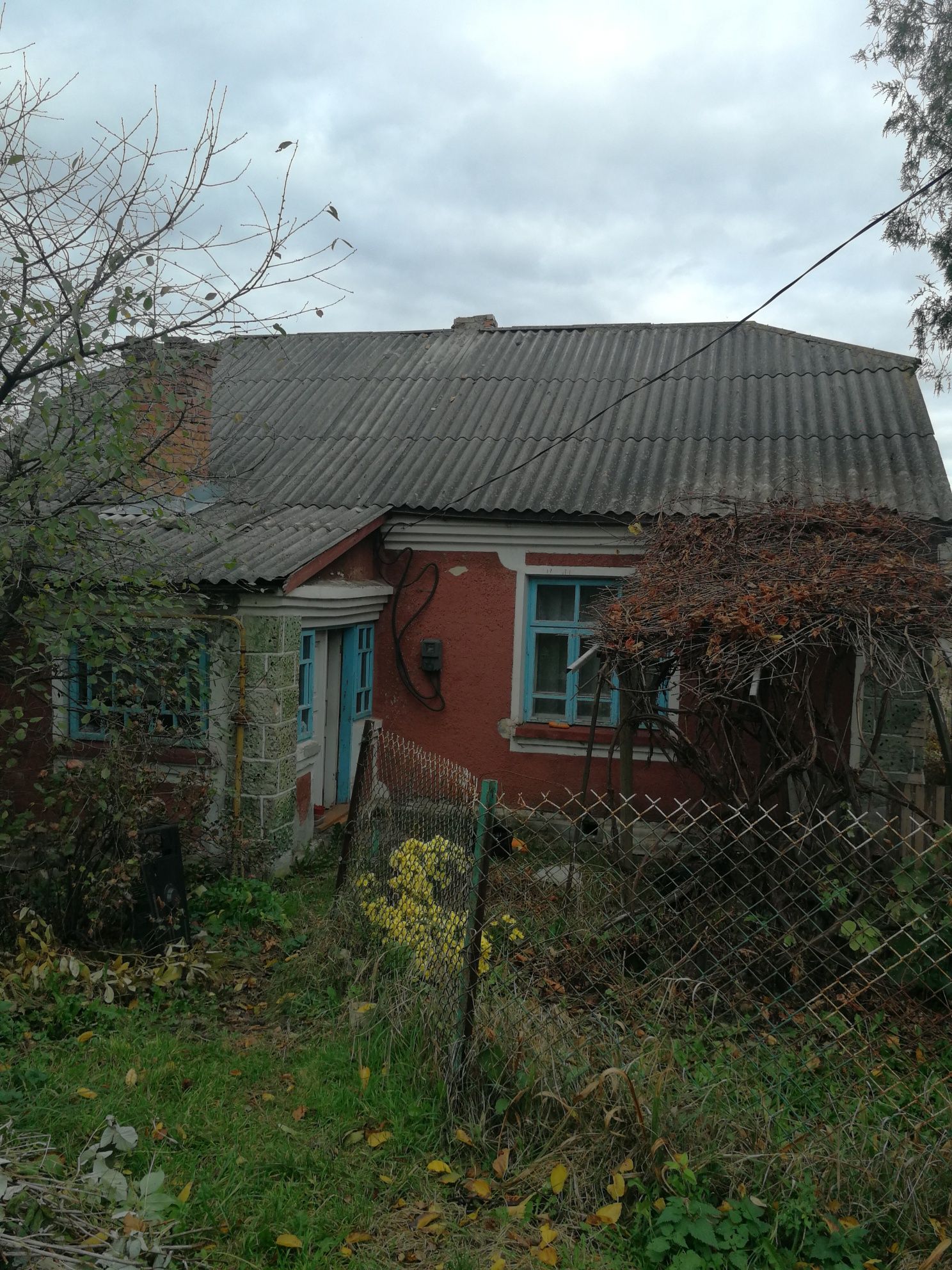 Продаю будинок в с.Кропивщина.