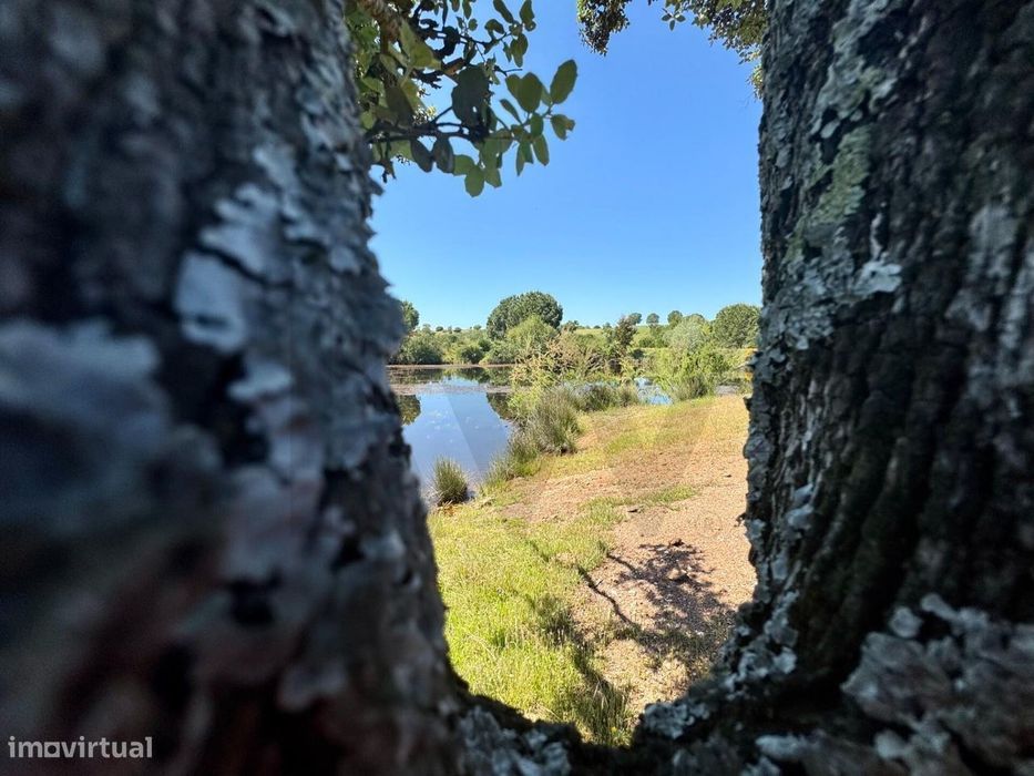 Refúgio Ideal no Alentejo: Investimento único com Potencial Agrícola e