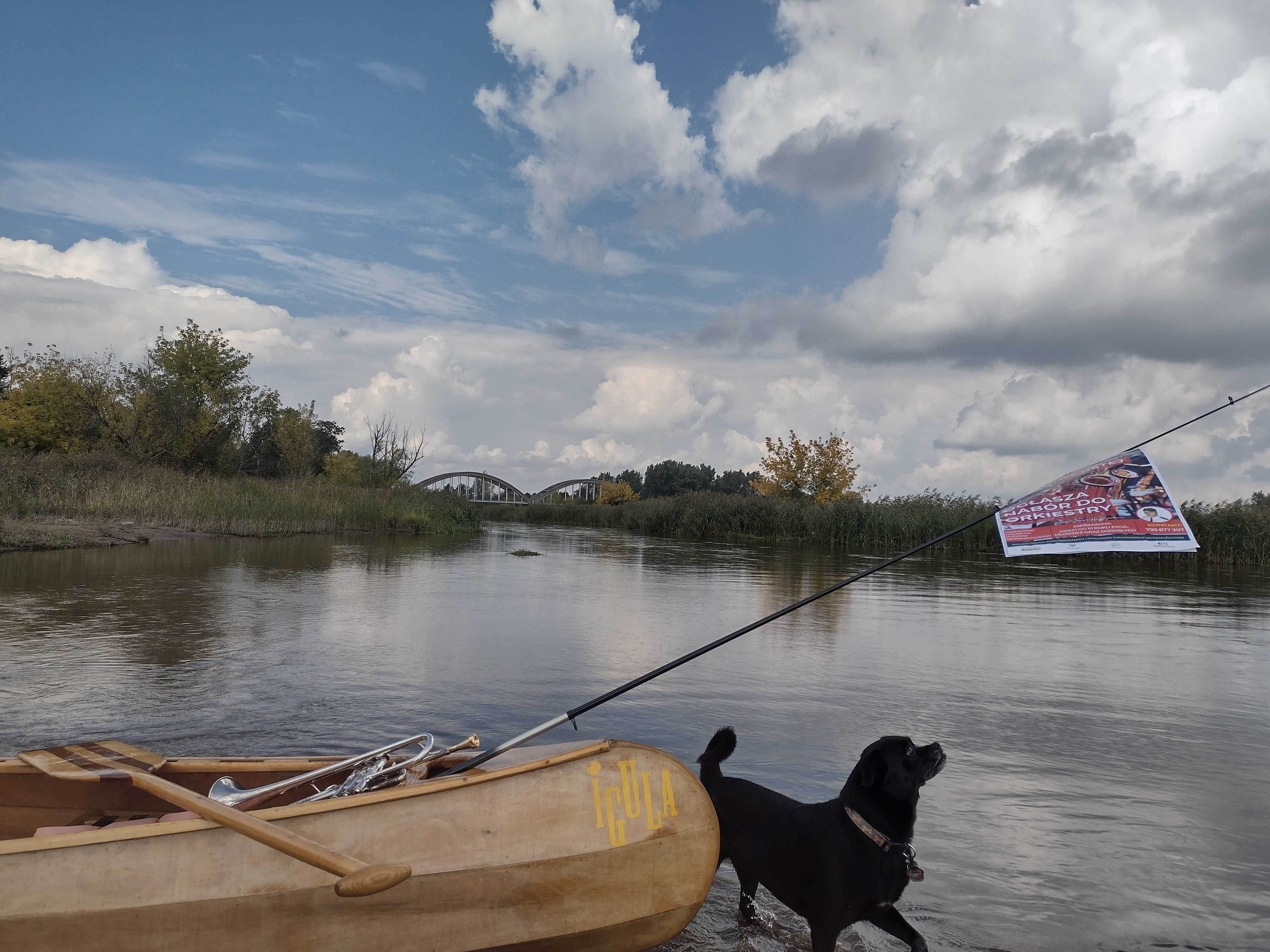 Domek nad rzeką PILICA. Kajaki. Wolne terminy w opisie.