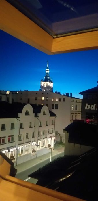 Kawalerka w stylu loft w sercu Bielska-Białej - wynajem