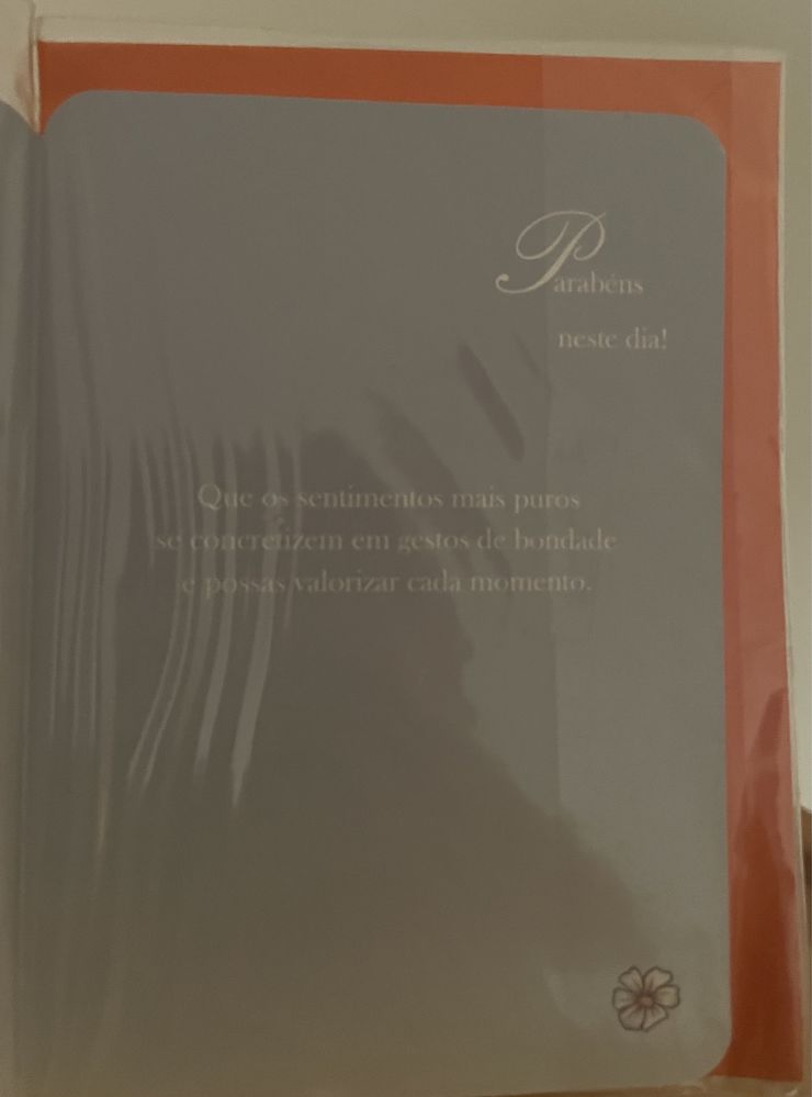 2 postais de aniversário com envelope