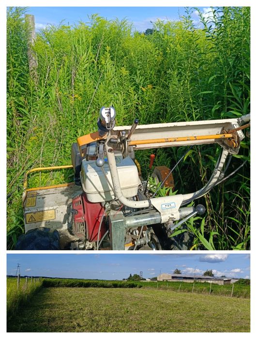 Karczowanie i czyszczenie działek i terenów