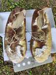 Anniel 38 39 cekiny nowe buty kafka