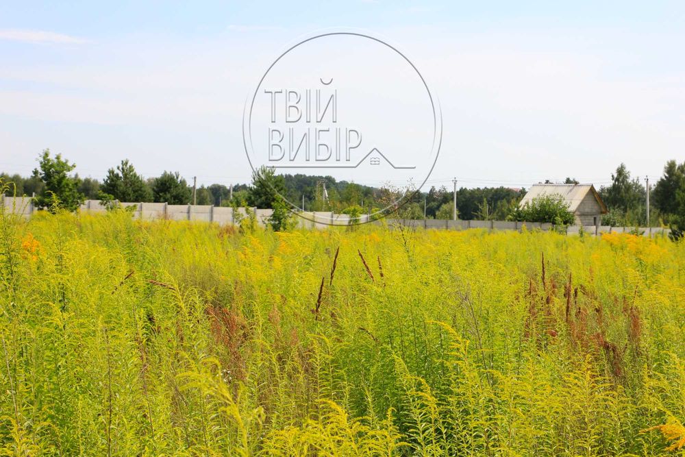 Продаж Ділянки Петрушки 10 соток