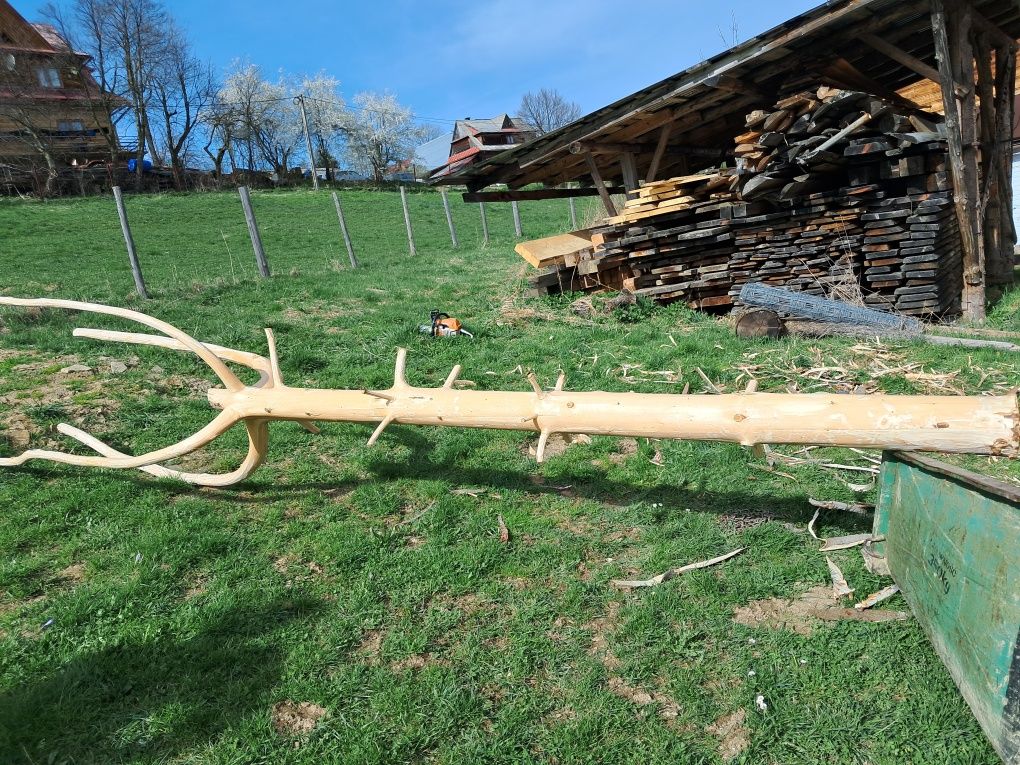 Pień ozdobny na szyld, drogowskaz, podpora