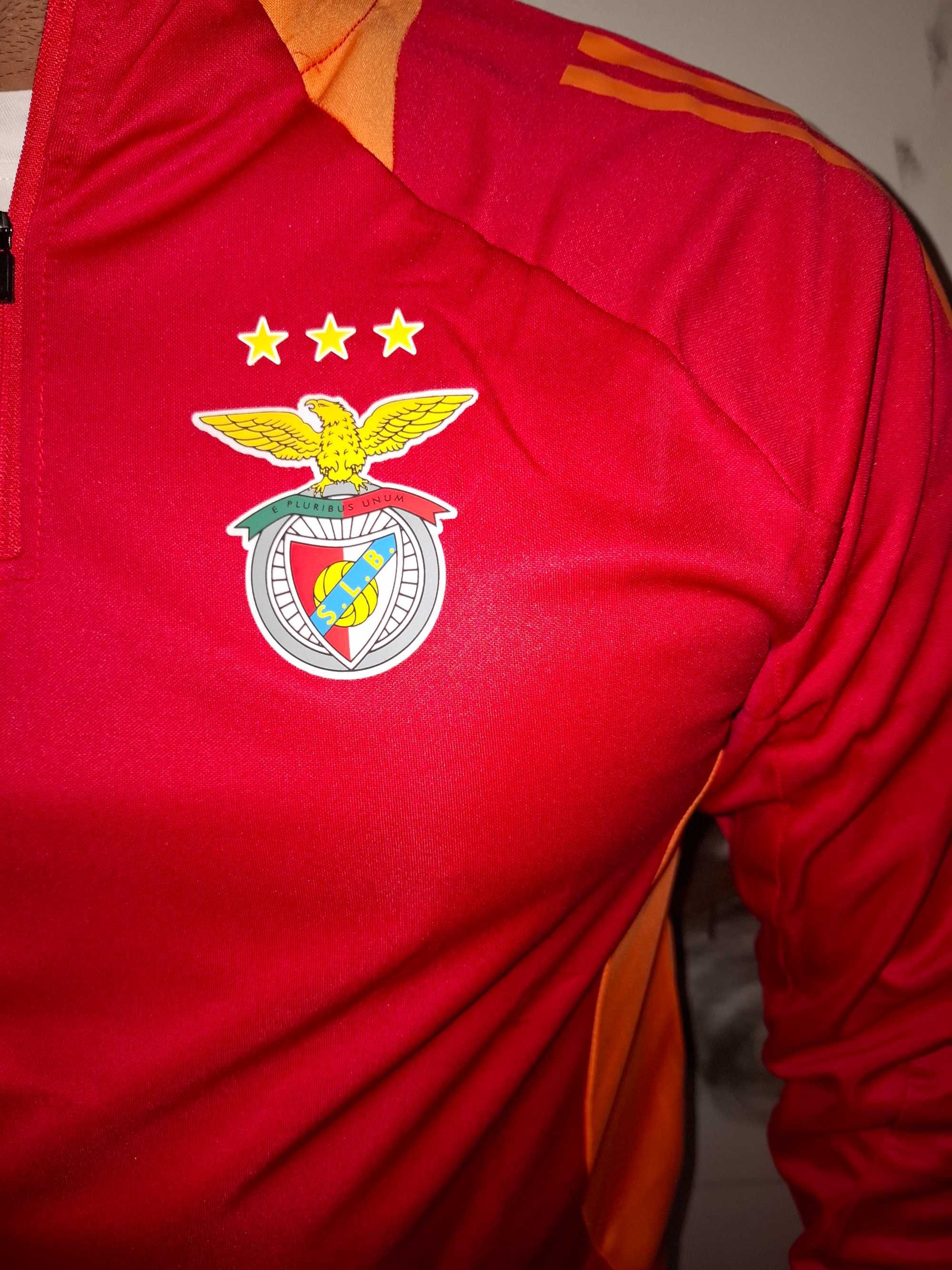Fato de Treino swet Benfica