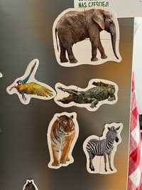 Magnesy na lodówkę ze zwierzętami