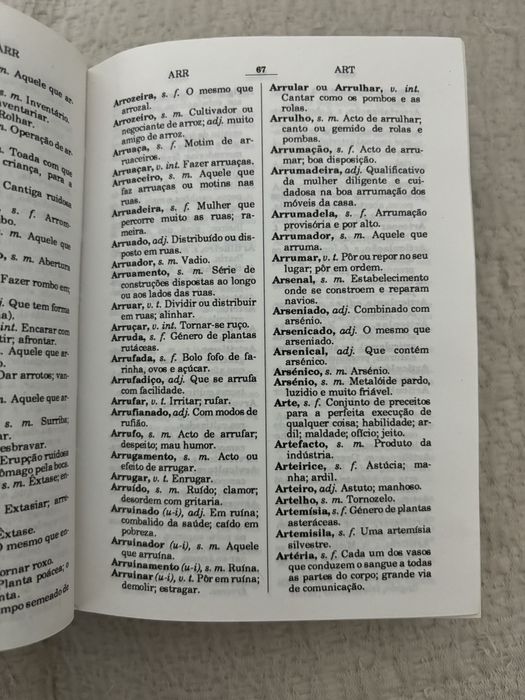 Dicionário Língua Portuguesa