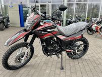 GEON X-ROAD LIGHT 250 (19/16)