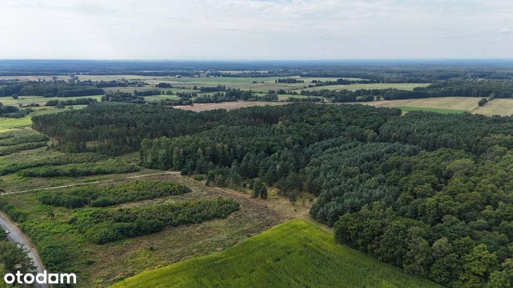 Przedsprzedaż działek budowlanych - 40 min. od Piaseczna