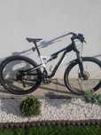 Rower Trek,xtr,xt,fox,full,rumblefish two,Dt swiss,
