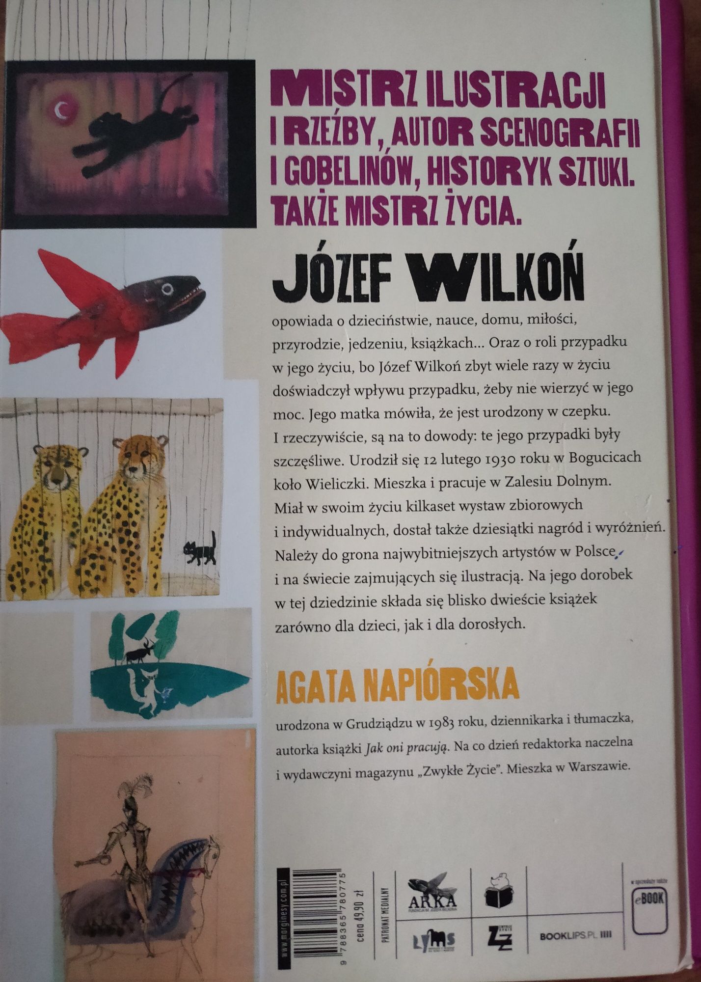 Agata Napiórska - Szczęśliwe przypadki Józefa Wilkonia