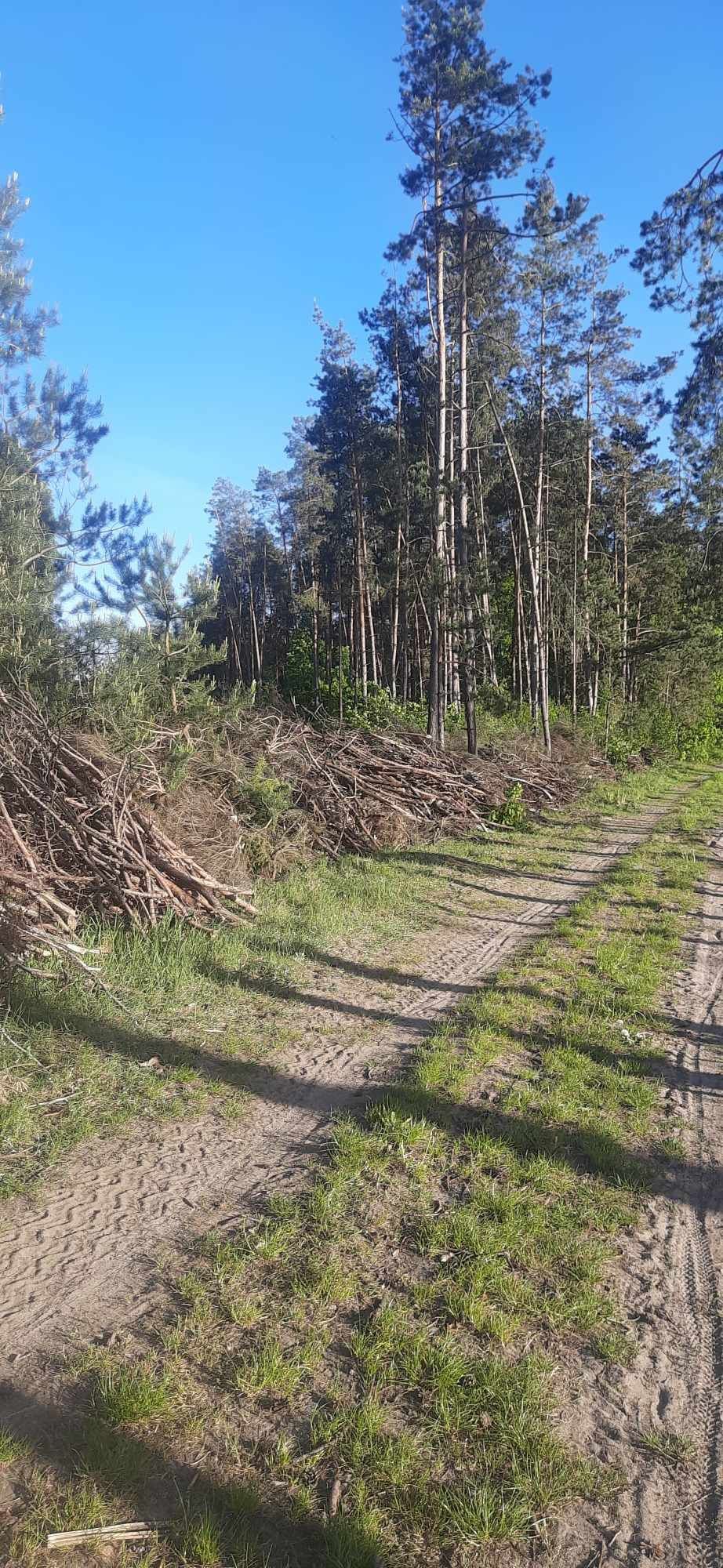 Oddam gałęzie w rębak