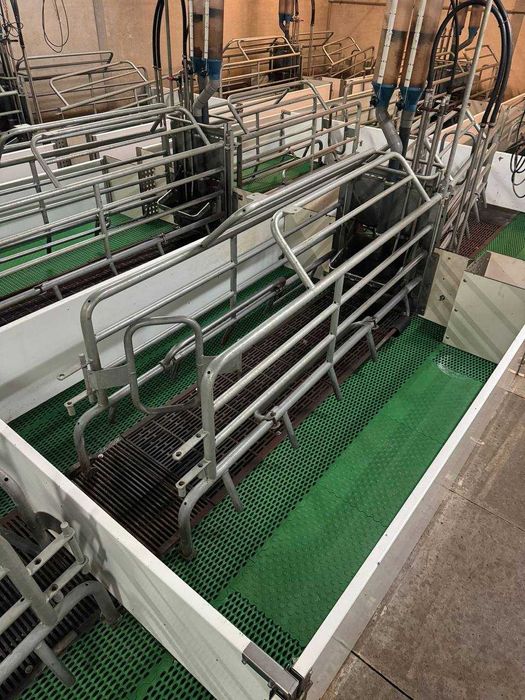 Обладнання для свинарства