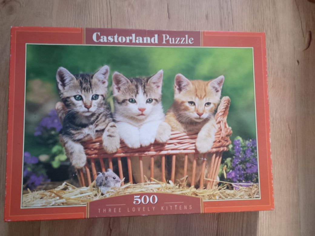 Puzzle marki castorland 500 elementów przedstawiający trzy małe kotki