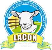 Продам овец молочной породы Лакон (Lacaune).