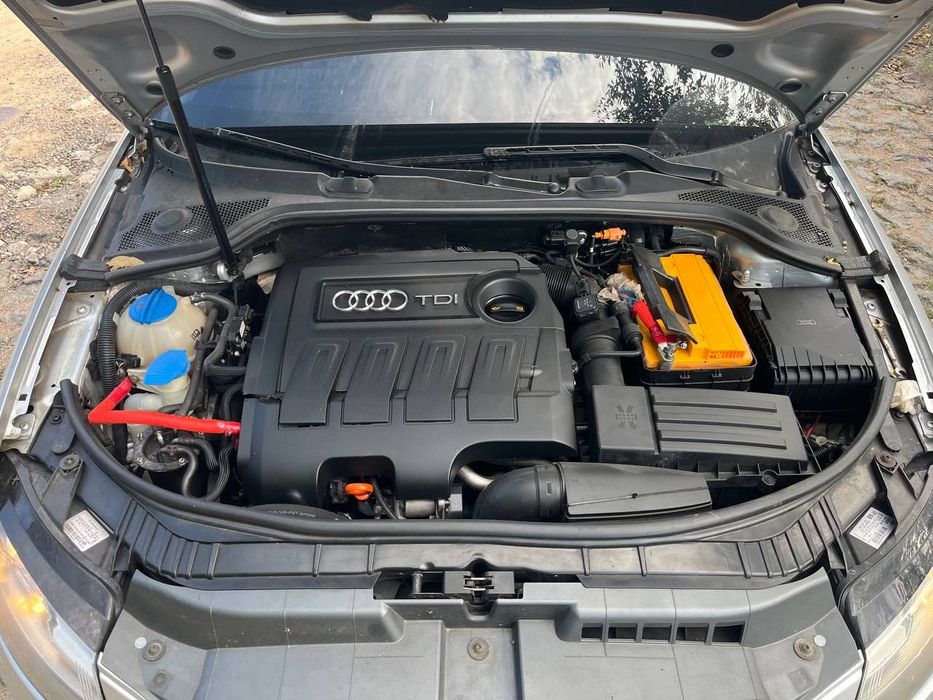 Audi A3 • 2009 • 1.6 TDI