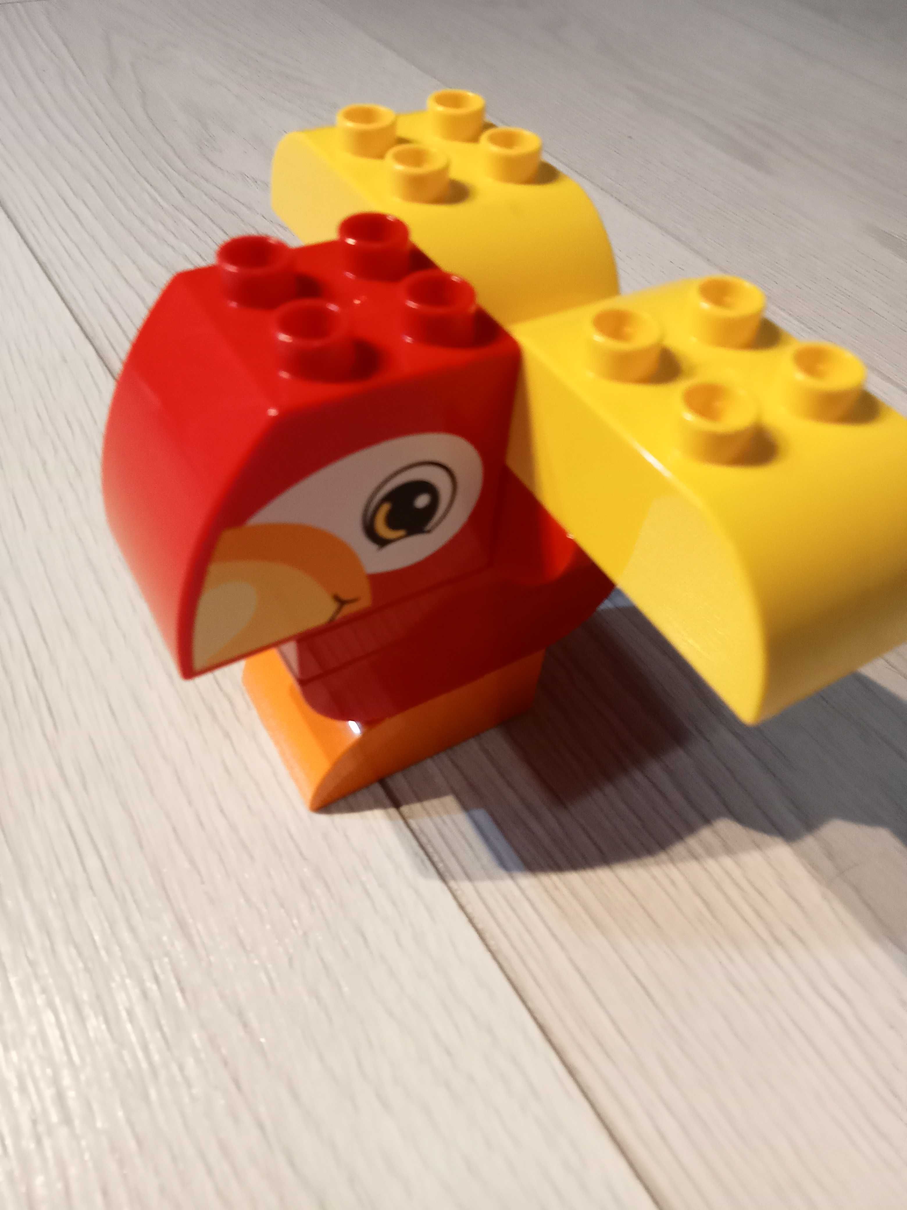 Lego Duplo- Moja pierwsza papuga 10852