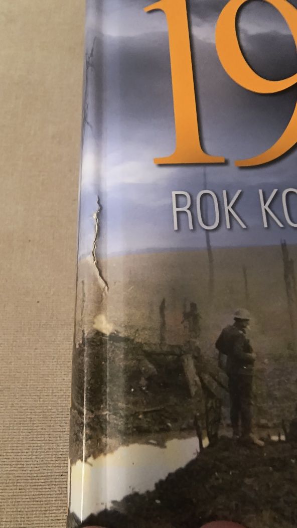 Paul Ham 1914 rok końca świata