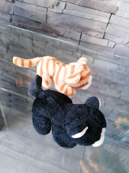 Dwa małe kotki pluszaki