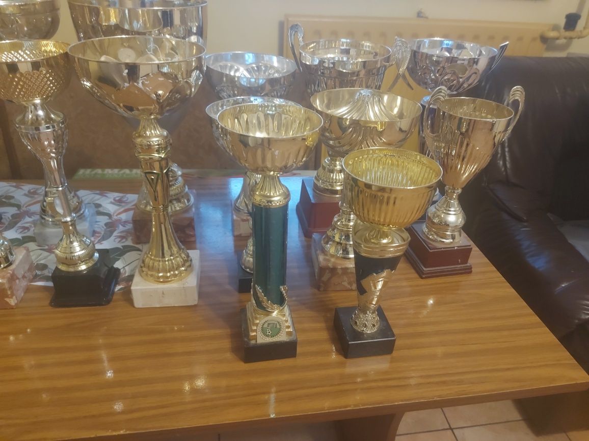 Puchary i statuetki dobra cena:)