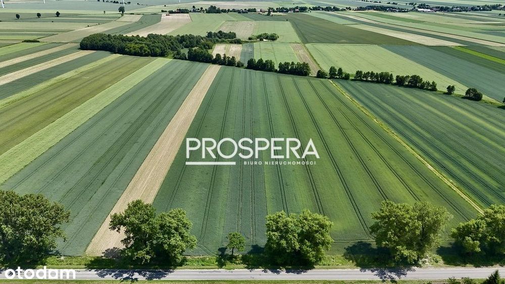 Działka rolna z zabudową siedliskową!