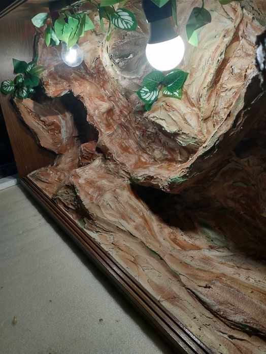 Terrarium zestaw 100x54x30