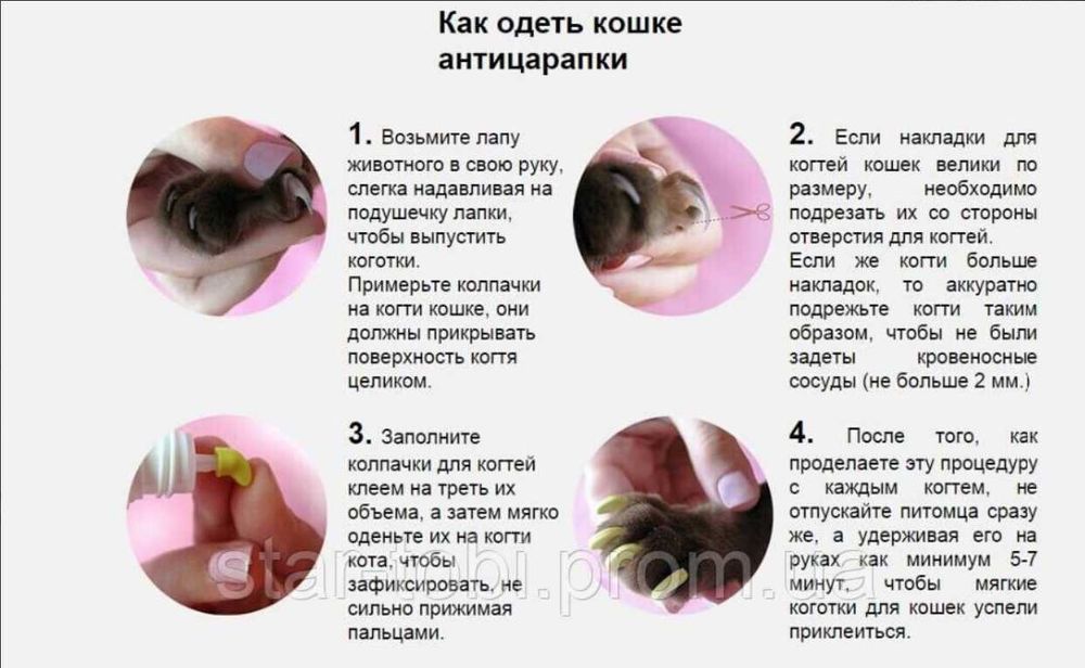 Антицарапки для когтей кошек
