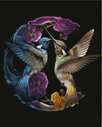 Malowanie po numerach - Kolorowe kolibry 40x50cm