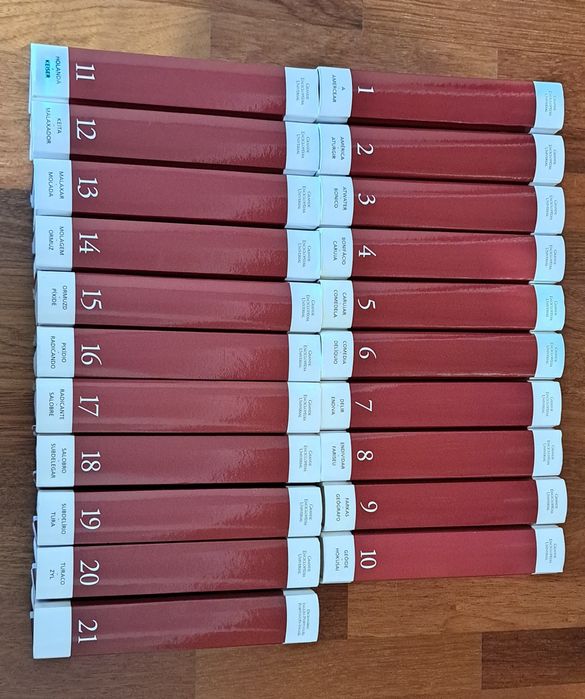 Grande enciclopédia Universal 21 volumes