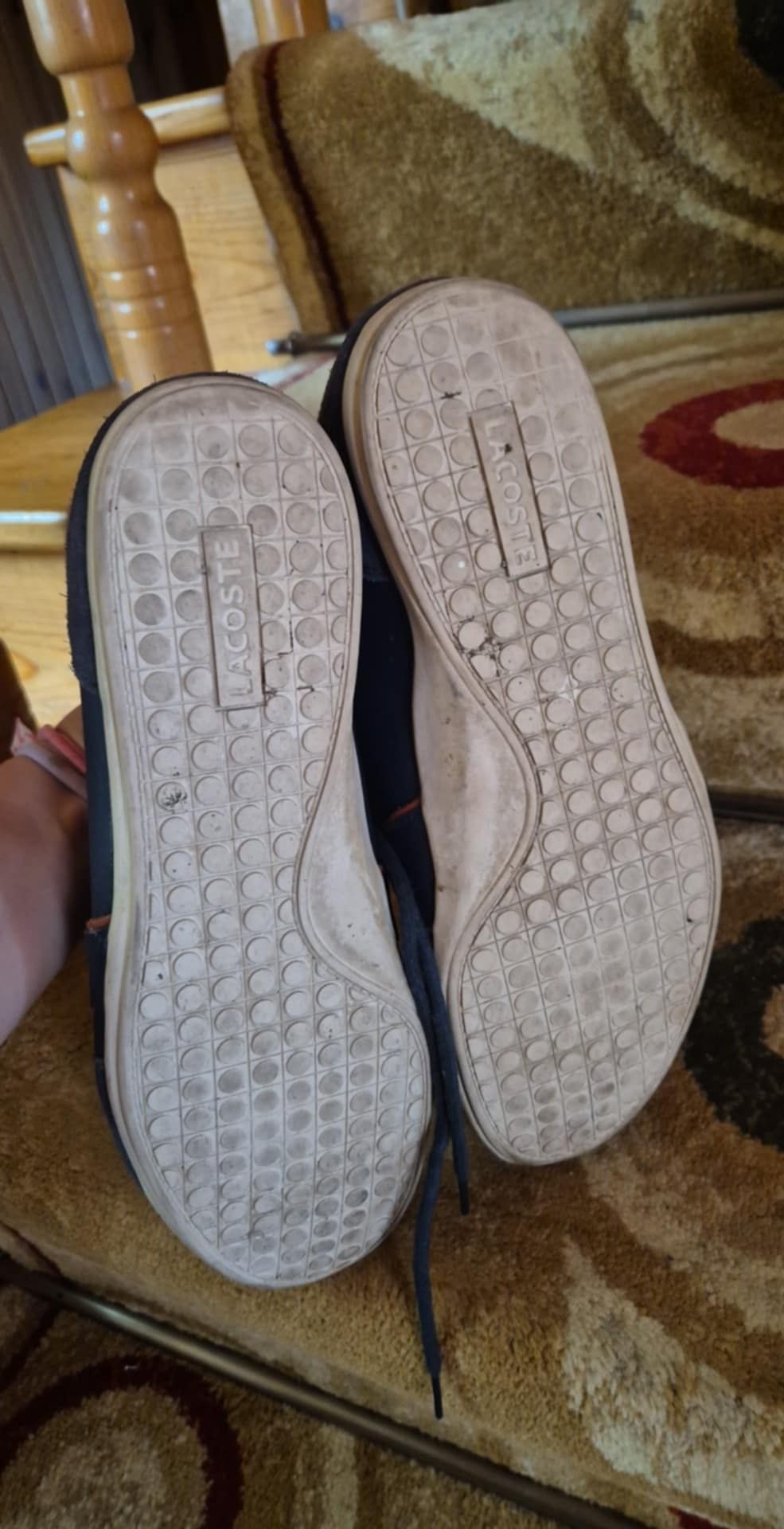 Buty Lacoste niebieskie