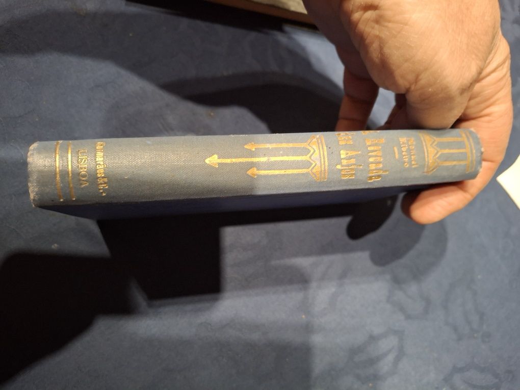 Manuel Ribeiro livro a revoada dos anjos