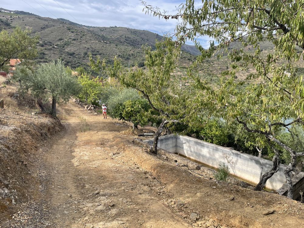 Terreno em Mazouco - Freixo de espada á cinta