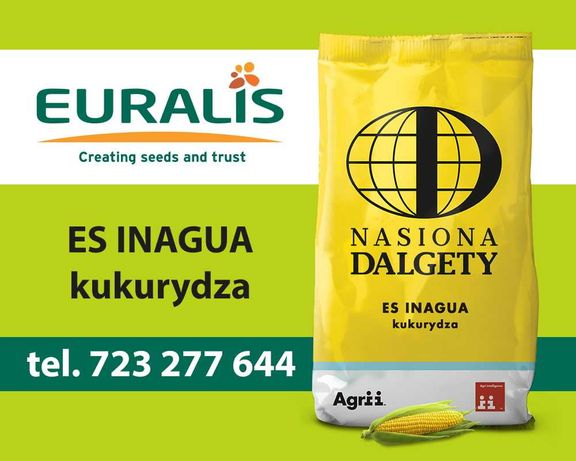 Kukurydza ES Inagua nasiona kukurydzy Euralis - dostawa cała Polska