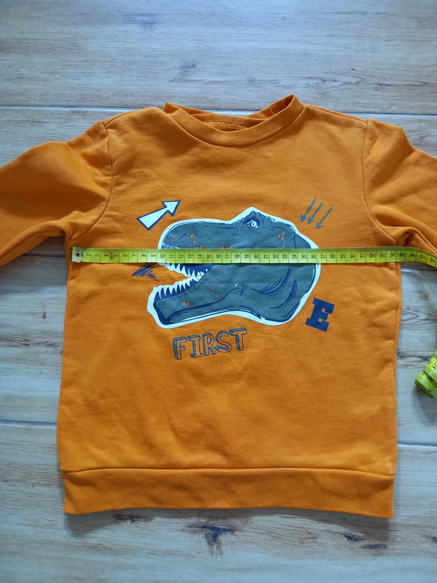 Bluza chłopięca sinsay, fox&bunny 116 cm, t-rex