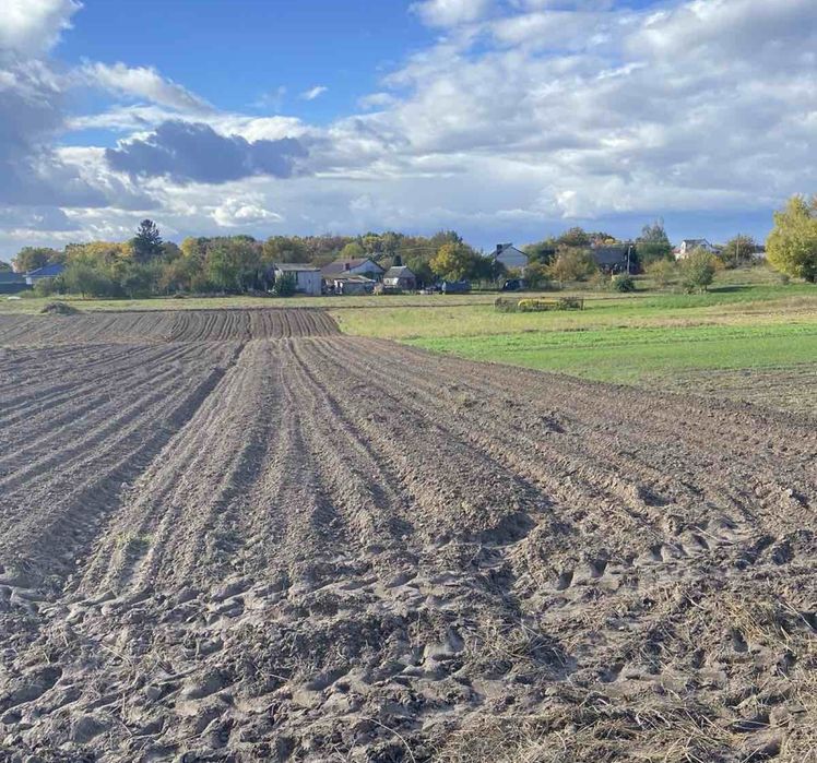 Продам 17 соток в с. Прилуцьке