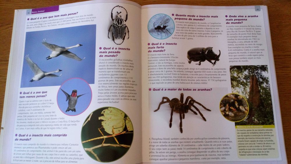 Grande livro dos 555 recordes