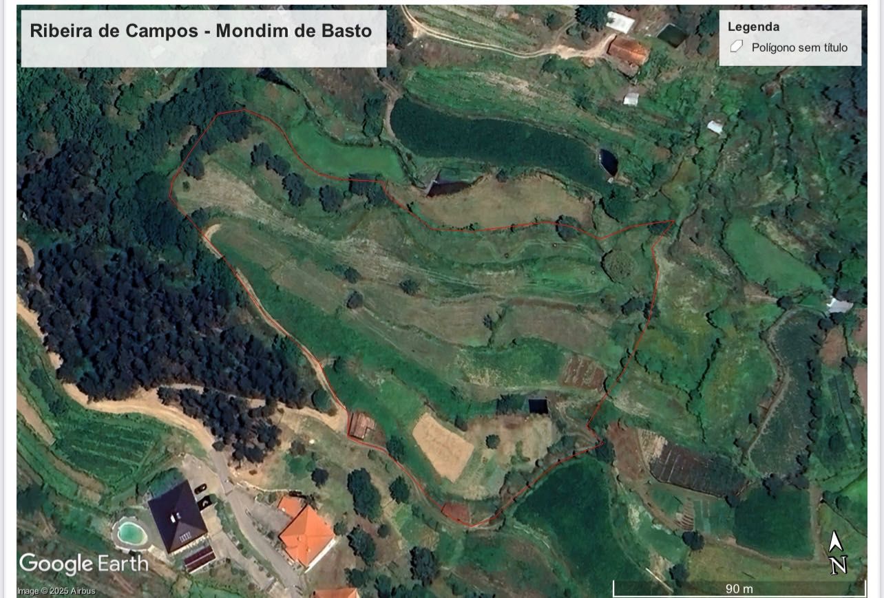 Terreno em Mondim de Basto