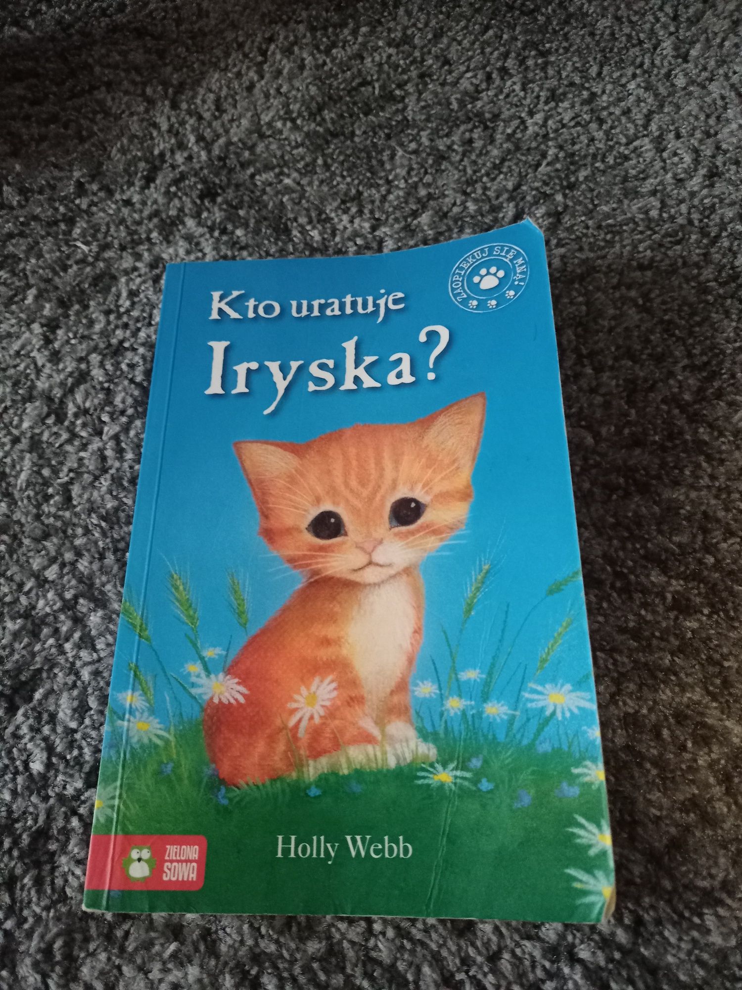 Sprzedam książkę Kto uratyje Iryska? Holly Webb