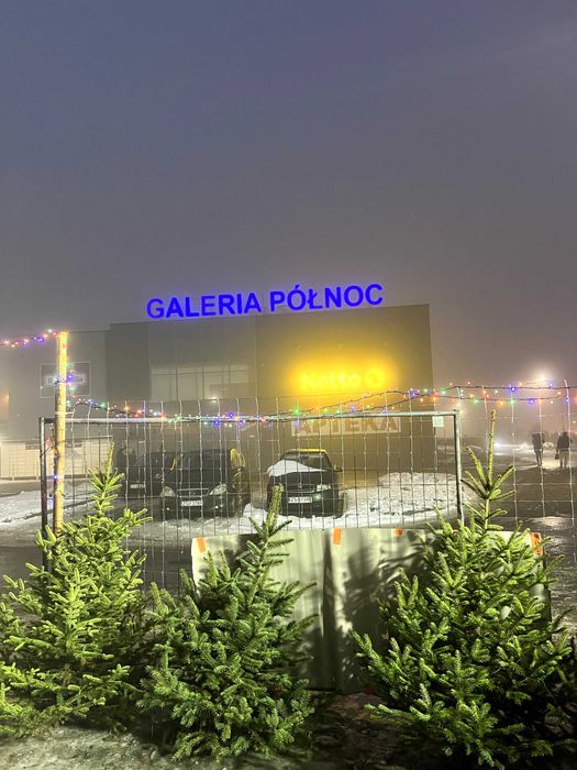 Plac pod galerią  handlową  na sprzedaż choinek