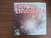 Vinil - Victor Espadinha – Recordar É Viver / Vida De Artista