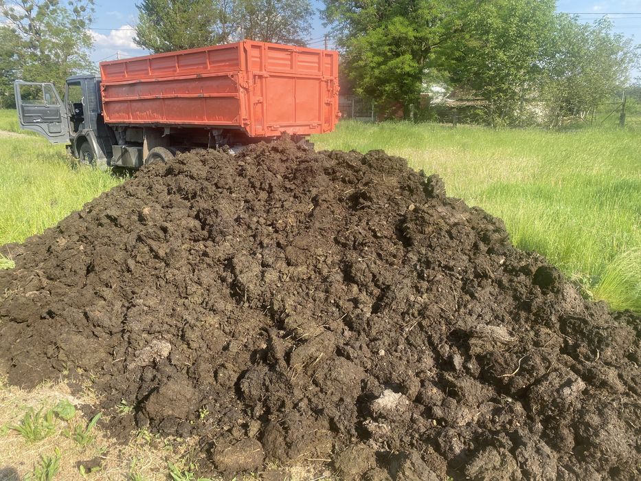 Гній. Перегній. Торф. (Органическое удобрение);коров’ячий, кінський.
