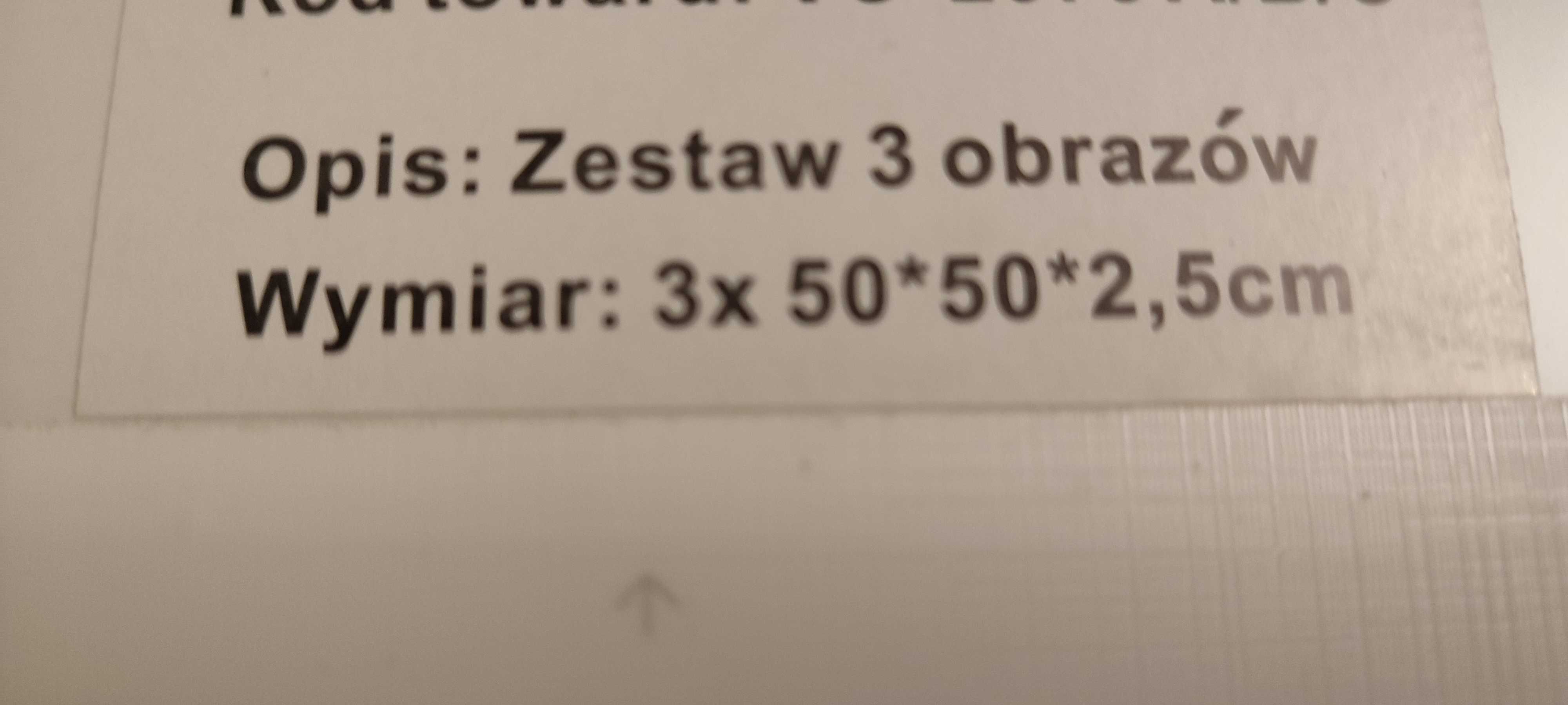 Zestaw 3 obrazów