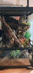 Sprzedam kompletne terrarium 30x30x45