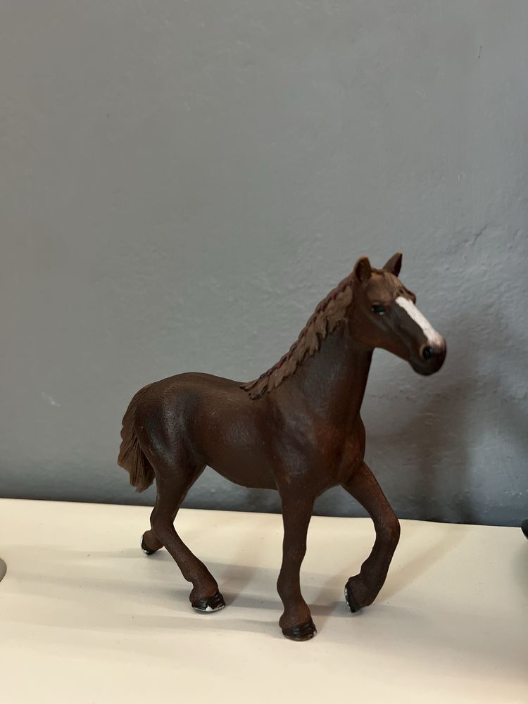 koniki schleich