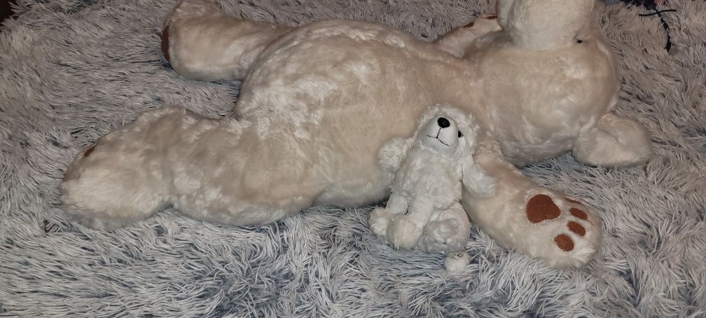 Miś polarny i gratis piesek. Polecam.
