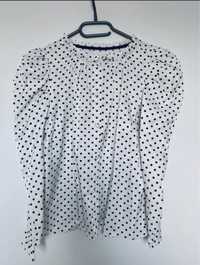 Koszula bluzka Zara kropki
