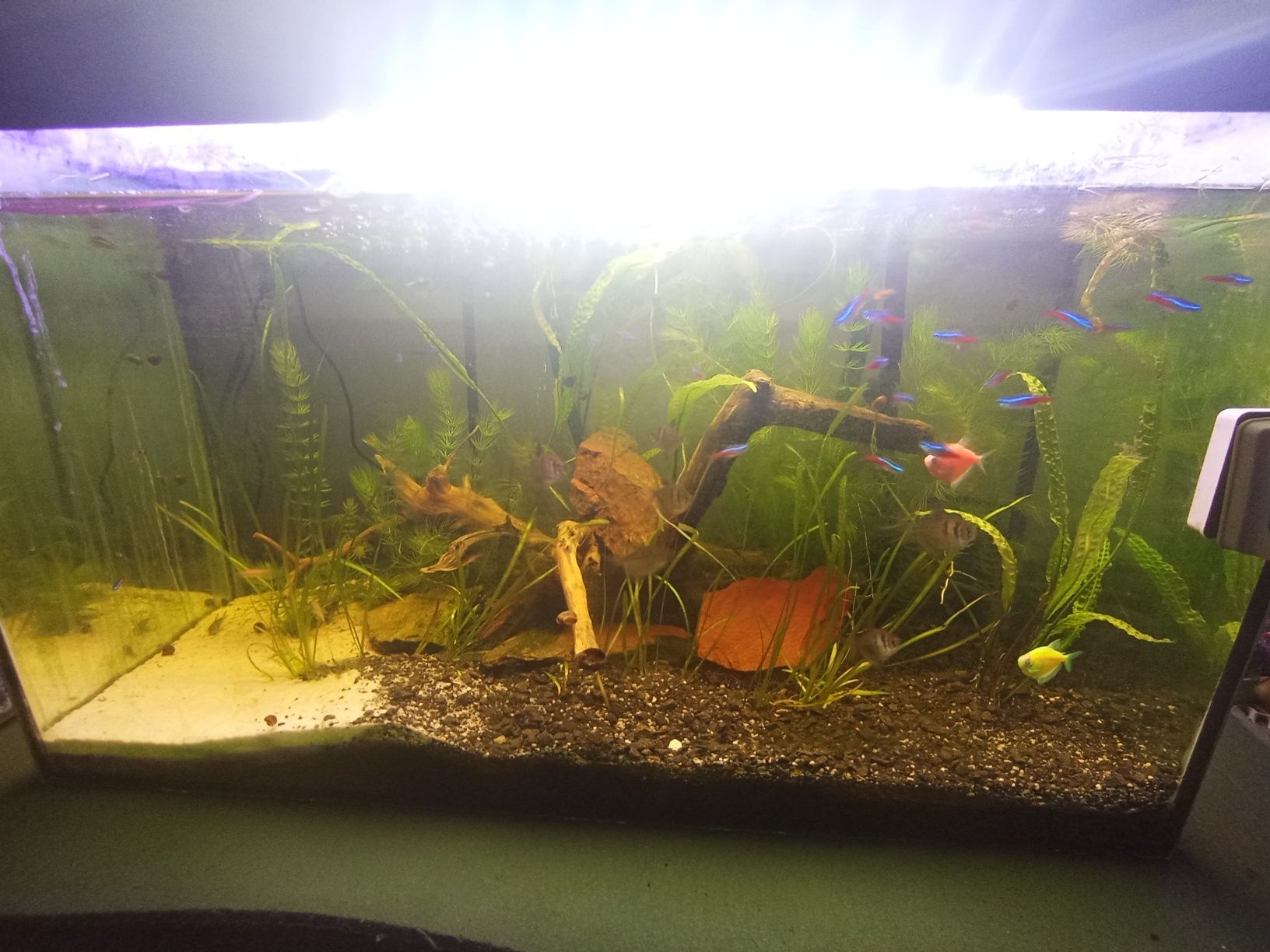 Sprzedam akwarium 112l