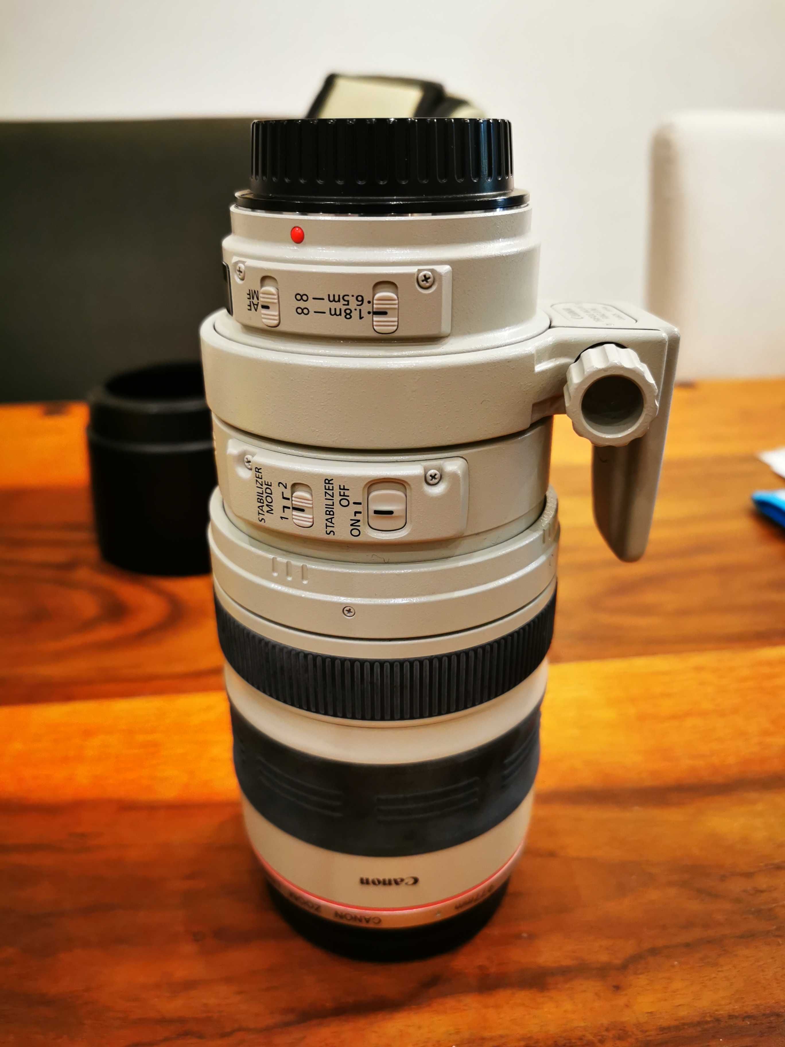 Canon EF 100–400mm f/4.5-5.6L IS USM