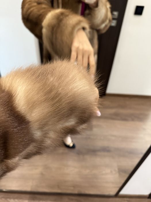 Futro naturalne z norek Nowe M-L Sobole